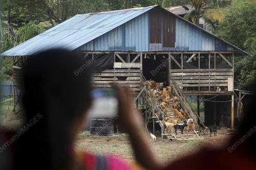 PUSAT PERLINDUNGAN ANJING LIAR
