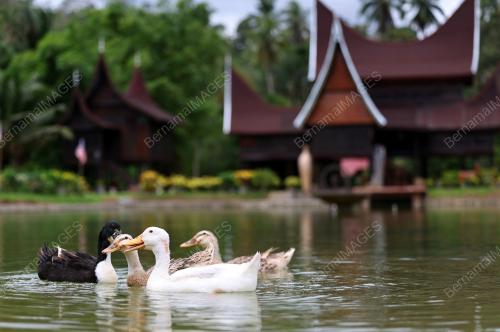 RUMAH GADANG KAMPUNG GAGU