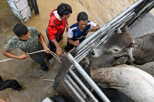 BANJIR NEGERI SEMBILAN