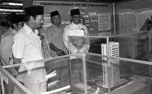 MUSA HITAM