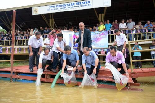 NS16_08082017_UDANG