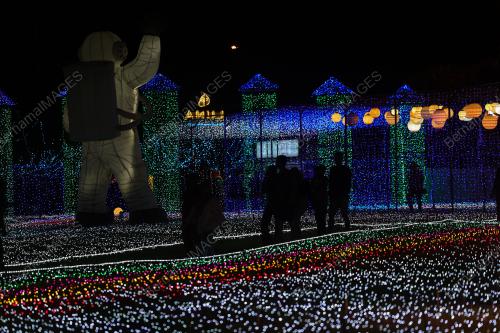 LUNA LIGHTS WONDERLAND