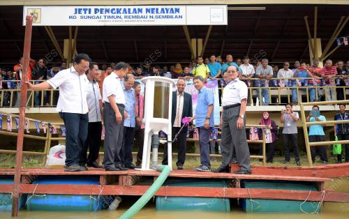 NS17_08082017_UDANG