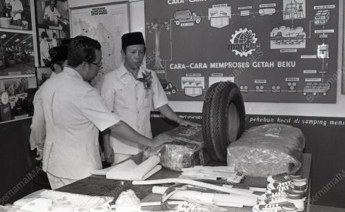 MUSA HITAM
