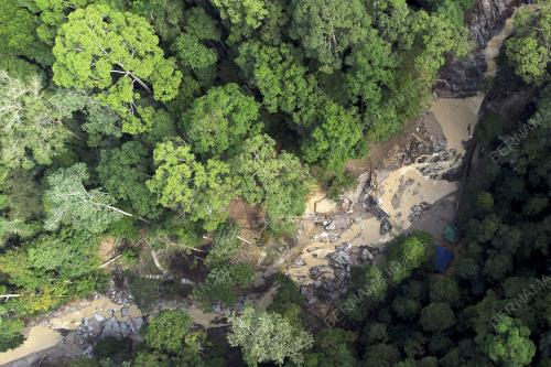 HUTAN LIPUR DI NEGERI SEMBILAN DITUTUP