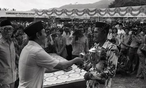 MUSA HITAM