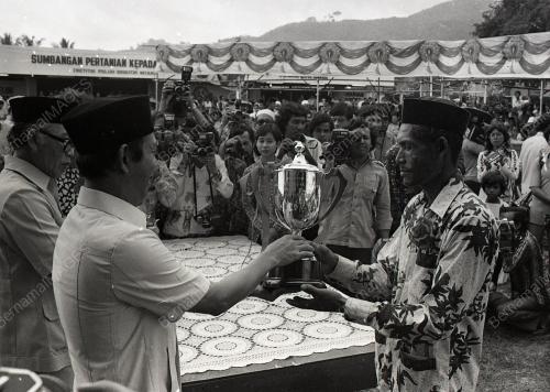 MUSA HITAM