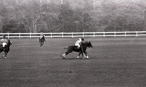 NS31_12012015_POLO_ATM