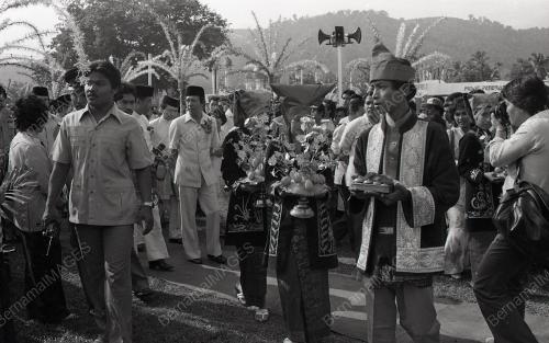 MUSA HITAM