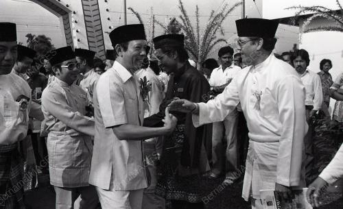 MUSA HITAM