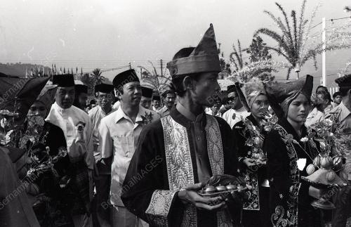 MUSA HITAM