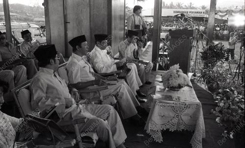 MUSA HITAM