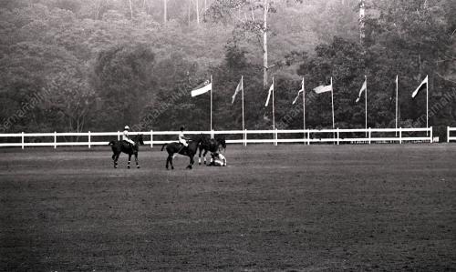 NS47_12012015_POLO_ATM