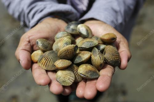 TINJAUAN CUTI HUJUNG MINGGU DI PORT DICKSON