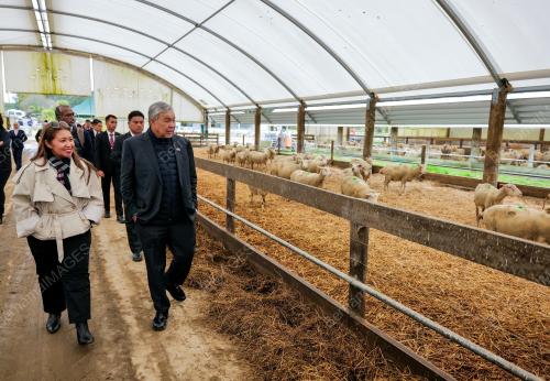 DATUK SERI DR AHMAD ZAHID HAMIDI