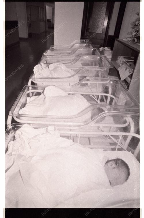 New Year Babies