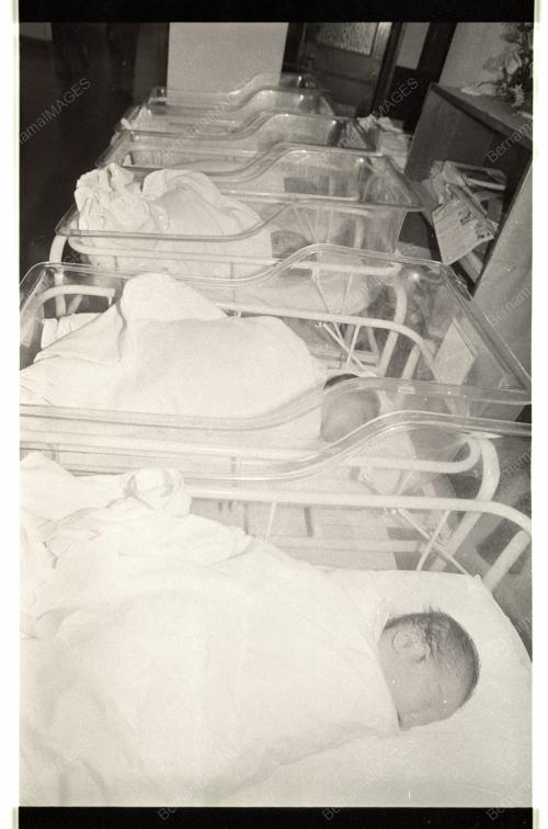 New Year Babies