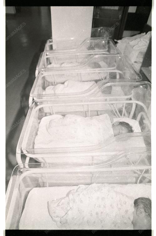 New Year Babies