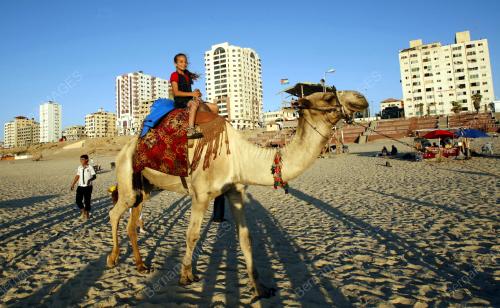 PAL01_27082012_GAZA_copy