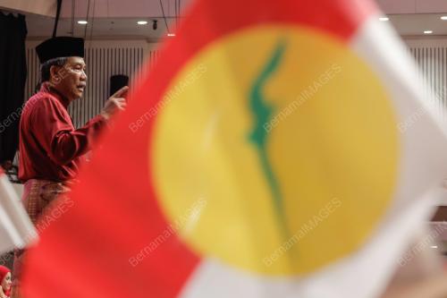 DATUK SERI MOHAMAD HASAN