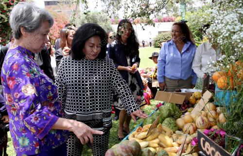 PERU18_20112016_ROSMAH
