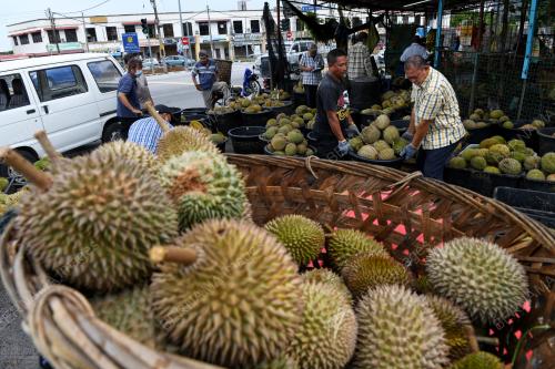 DURIAN_PULAU