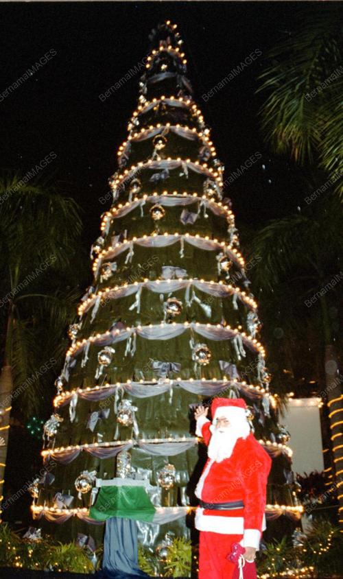 PG01-02_12_2000_POKOK_KRISMAS_15012016