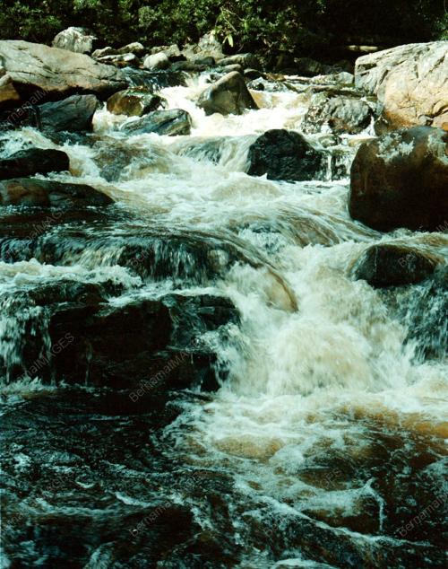 PG01-130_20012016