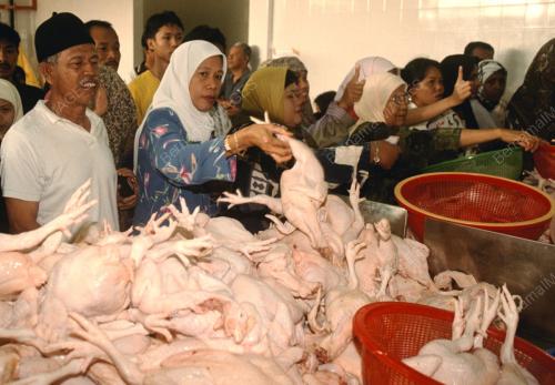 PG01-26_12_2000_AYAM-RAYA_15012016