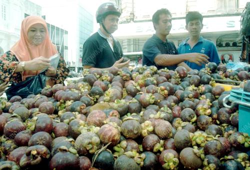 PG01-28_06_2000_BUAH_MANGGIS_08012016