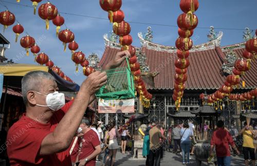 TAHUN BAHARU CINA