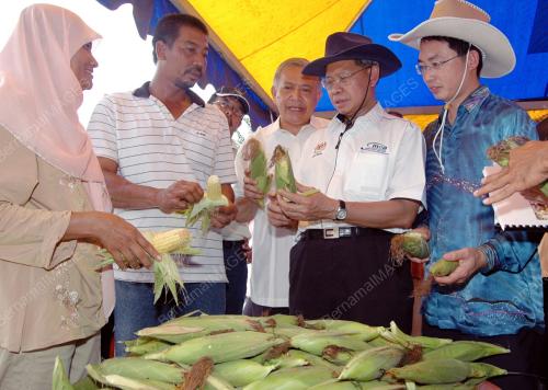 MUSTAPA MOHAMED