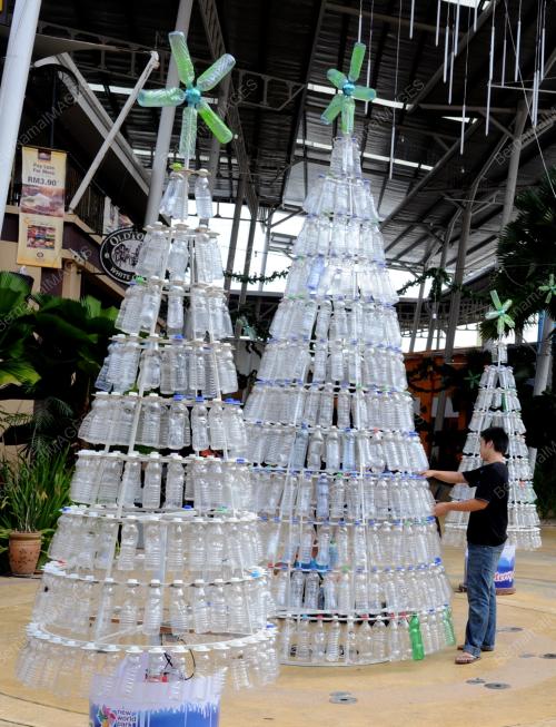 POKOK KRISMAS