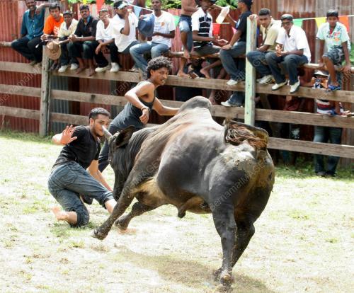 JALLIK KATHU