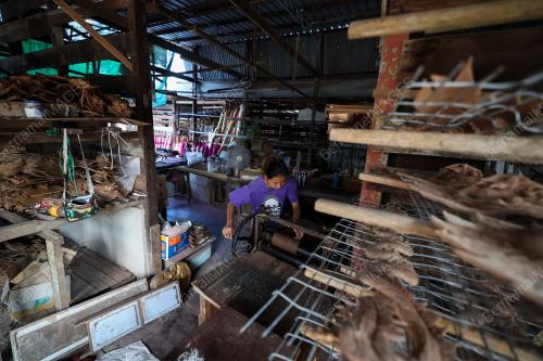 COLOK TAHUN BAHARU CINA