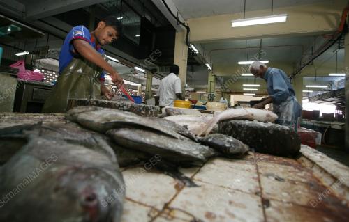 IKAN KURANG