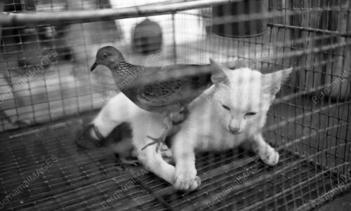 PG01_05022015_HAIWAN