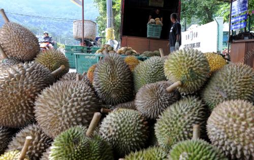 PG01_05062013_DURIAN