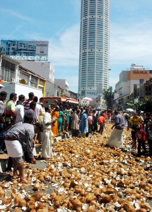PG01_06022012_KELAPA