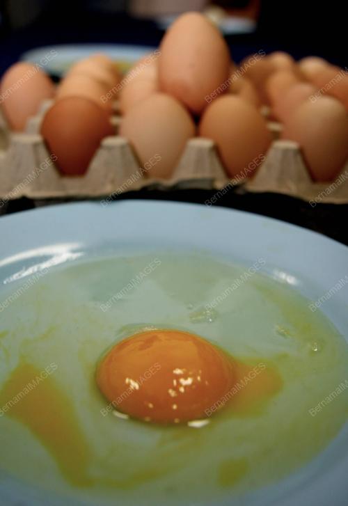 TELUR TIRUAN