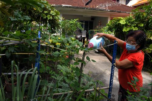 PG01_06122021_KEBUN_RUMAH