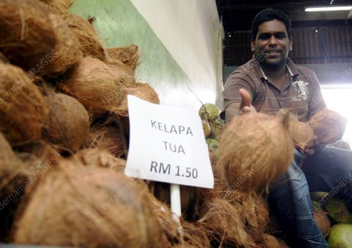 KELAPA NAIK HARGA