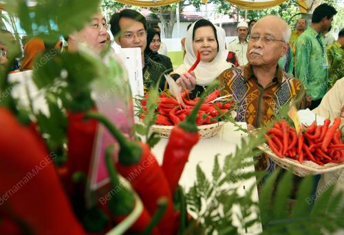 YANG DIPERTUA NEGERI