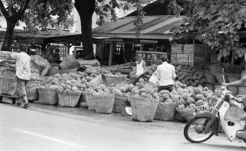 PG01_09072015_MUSIM_DURIAN