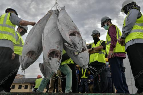 PG01_09092021_TUNA