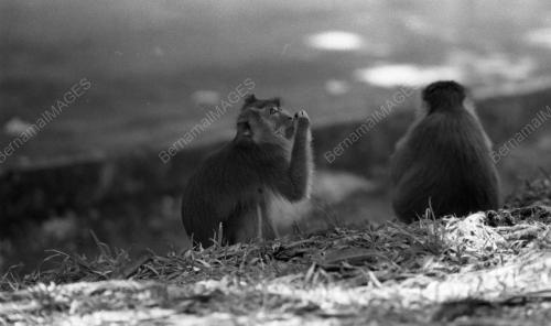 PG01_11032015_BERUK
