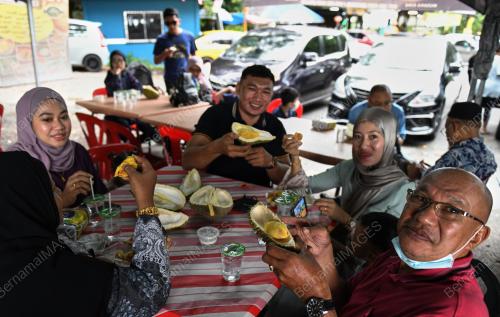MUSIM DURIAN