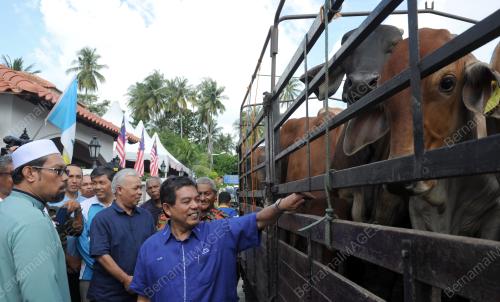 PG01_11092016_HILMI_LEMBU