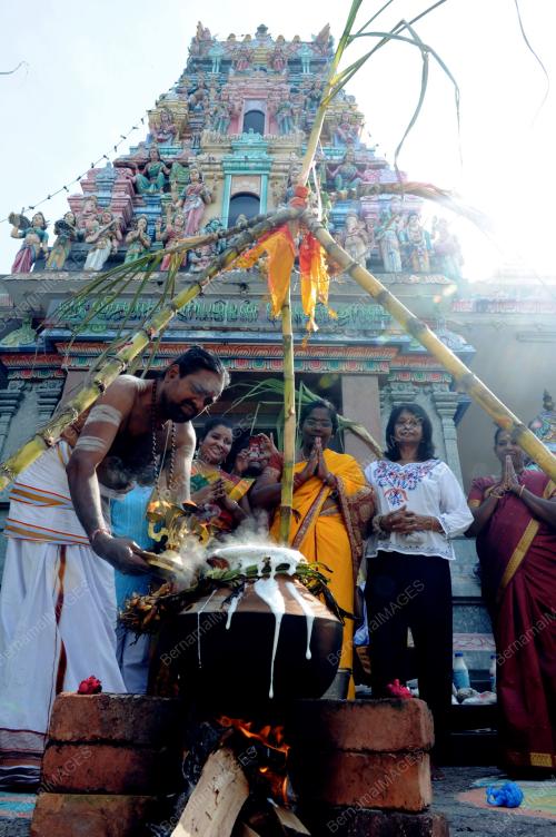 PG01_14012013_PONGGAL