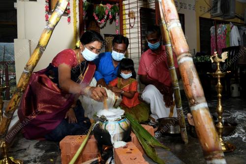 PERAYAAN PONGGAL